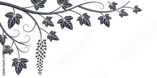 Decorative ivy branch vector graphic with hanging flower cluster nature inspired vine branch botanical art floral pattern plant life swirl design botanical decorative