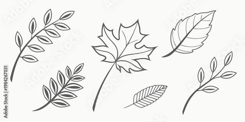 Set of diverse autumn and summer leaf sketches in line art style with botanical illustration collection isolated ornament decoration minimalist seasonal woodland stylized