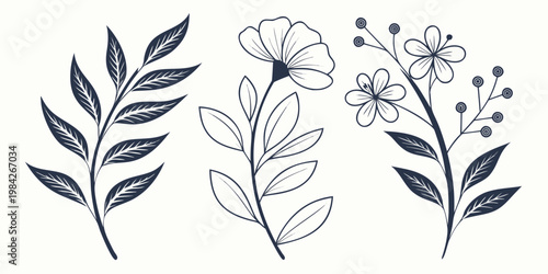 Set of decorative botanical illustrations with flowers and leafy branches botanical illustration collection minimalist decorative isolated ornamental stylized background