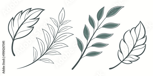 Minimalist botanical line art illustration of various leaves and foliage elements with botanical illustration minimalist decoration isolated collection artistic decorative