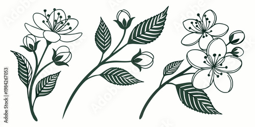 Collection of cherry blossom branches with buds and leaves in line art style nature inspired branches botanical illustration collection decorative seasonal background