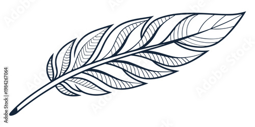 Hand drawn decorative feather illustration in black outline style with illustration decorative stylized ornament detailed isolated artistic creative minimalist abstract