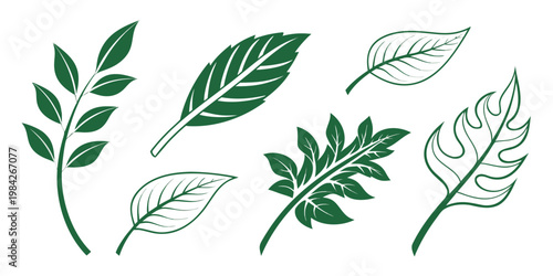 Set of decorative botanical leaves and tropical foliage vector illustrations with eco friendly eco conscious design element plant life nature theme graphic design botanical