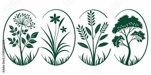 Set of four stylized botanical illustrations inside oval frames with botanical silhouette illustration collection ornamental decoration decorative botanist environment