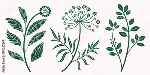 Set of three decorative green plant and floral silhouette sketches with botanical silhouette illustration collection decoration ornamental isolated minimalist wildflower