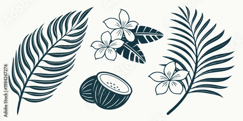 Tropical collection featuring palm leaves plumeria flowers and halved coconuts tropical botanical plumeria vacation illustration silhouette isolated background tropicals