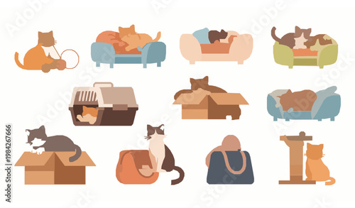 Cat lifestyle scenes flat vector kittens with pet supplies playing sleeping and scratching