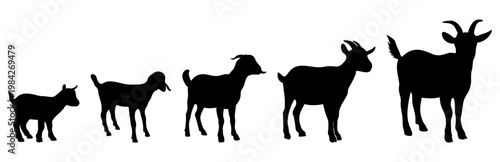 Goat silhouettes vector set. set of animal silhouettes. set of animals silhouette vector