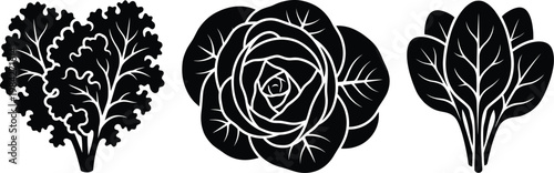 Vegetable leaf icons set featuring kale cabbage and spinach silhouettes.