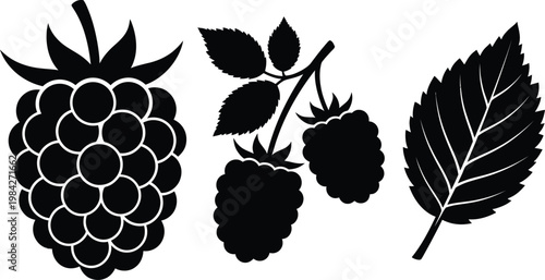 Raspberry fruit icons set featuring whole berry branch and leaf shape.