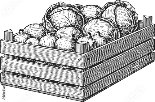 Wooden crate filled with fresh cabbages and onions, rustic farm vegetables harvest