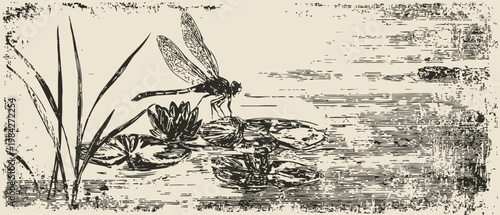 Dragonfly perched on water lily in pond with reeds and lily pads vintage ink illustration