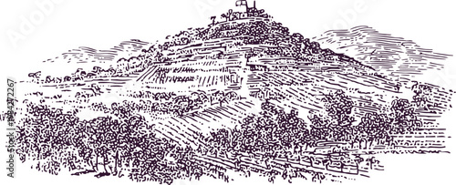 Vintage hill landscape illustration with rustic trees and cottage on top