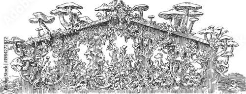 Detailed black and white illustration of a wooden fence covered with climbing plants and large mushrooms