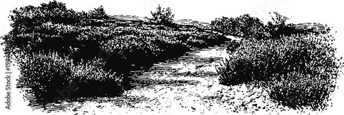 Vintage black and white engraving of a dirt path winding through dense bushes and shrubs
