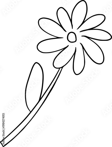 Hand Drawn Flower Outline Illustration