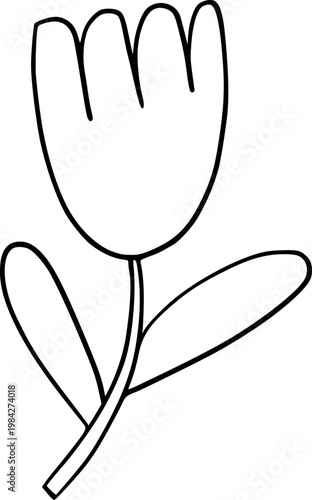 Hand Drawn Flower Outline Illustration