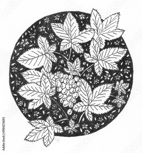 Detailed ink floral circle illustration hand drawn botanical pattern scan