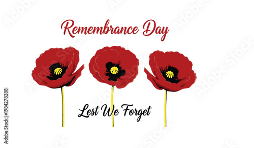Remembrance day poppy flowers lest we forget a tribute to veterans