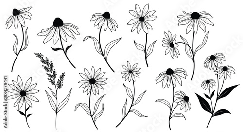 Adobe Illustrator Artwork