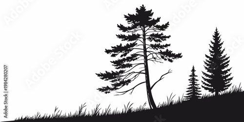 Black and white silhouetted forest landscape with pine trees on a grassy hill high contrast silhouette landscape wilderness illustration outdoors woodland coniferous evergreen botanical