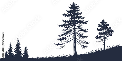 Silhouette illustration of coniferous pine trees on a grassy hill landscape with silhouette coniferous landscape background woodland evergreen outdoors illustration wilderness environment