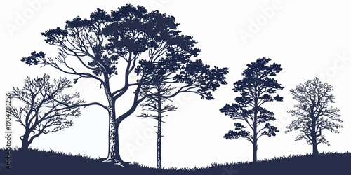 Silhouettes of different tree species on a grassy field with silhouette landscape botanical woodland outdoors illustration background countryside environment wilderness parkland backdrop