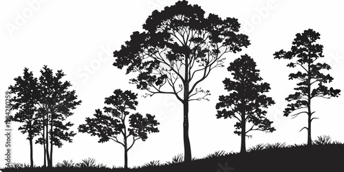 Detailed black silhouette of a forest landscape with various trees silhouette landscape woodland botanical outdoors illustration background countryside environment wilderness parkland