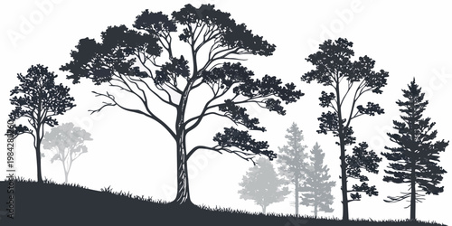 Black silhouette of various trees on a hillside slope with silhouette landscape botanical outdoors woodland illustration background countryside environment wilderness parkland backdrop