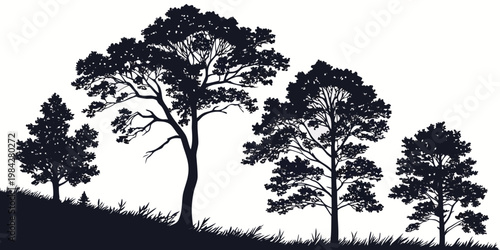Black graphic silhouette of dense woodland trees on a hill with silhouette landscape woodland botanical outdoors illustration background countryside environment wilderness parkland backdrop