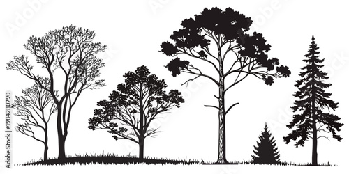Black and white silhouette of various forest trees in a natural landscape row with silhouette landscape woodland coniferous deciduous outdoors evergreen wilderness environment illustration