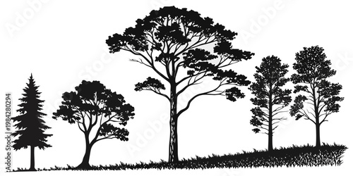 Horizontal row of different forest trees in black and white silhouette graphic with silhouette landscape evergreen deciduous outdoors woodland wilderness illustration monochrome isolated