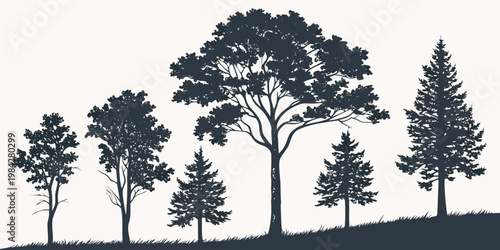Various forest trees silhouette collection isolated on plain background with silhouette landscape evergreen deciduous woodland outdoors wilderness illustration monochrome isolated collection