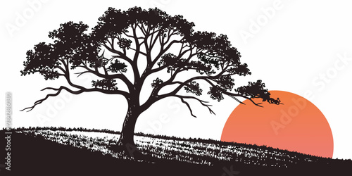 Artistic silhouette of a spreading tree on a grassy meadow at sunset with silhouette landscape illustration background minimalist peaceful countryside environment botanical