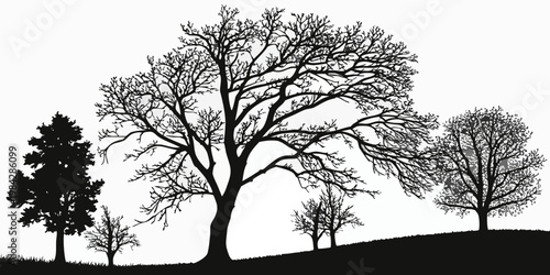 Black and white silhouette landscape featuring a variety of mature deciduous trees on a grassy knoll silhouette landscape deciduous botanical background illustration