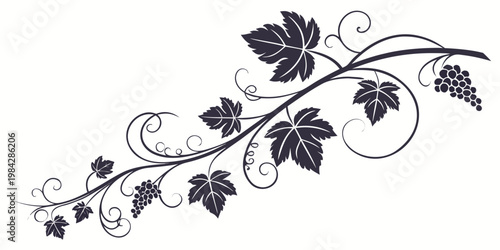 Grapevine branch with leaves and clusters of grapes decorative vector black and white grapevine decoration ornament botanical decorative illustration isolated stylized