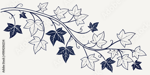 Dark blue graphic element of an ivy branch with alternating filled and outlined leaves hand drawn on cream background botanical decoration ornament illustration climbing