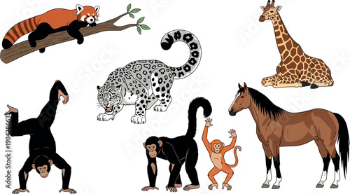 Wild animals collection including monkey giraffe horse leopard and red panda in cartoon style isolated vector illustration set