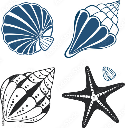 Blue and white of sea creatures and shells