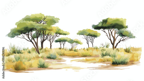 Air and Tenere Reserve. Air and Tenere Reserve hand drawn watercolor illustration on white background