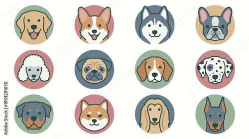 Set of twelve flat vector icons featuring popular dog breeds like husky pug and corgi in colorful circles on white, concept for pet grooming services, vet branding and animal app design