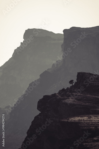Vászonkép Dramatic Oman Mountain Landscape with Solitary Tree and Layered Cliffs