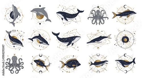 Celestial Mystical Marine Creature Collection with Whale Dolphin Octopus Constellation Gold Vector Illustration Set for BrandingCelestial Mystical Marine Creature Collection with Whale Dolphin 