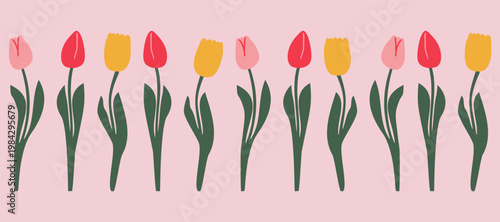 Seamless floral border with tulips. Vector color flower border. Good for postcards, covers, decoration and textile