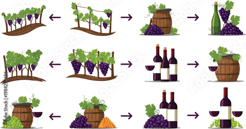 Wine Production Process Sequence from Vineyard Grapes to Barrel Fermentation and Bottle Vector Illustration Set for WineryWine Production Process Sequence from Vineyard Grapes to Barrel 