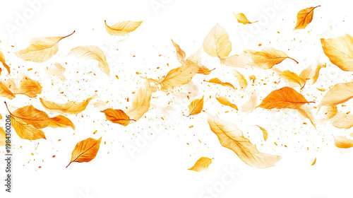 Floating golden leaves, with small specs of light, against a stark black backdrop