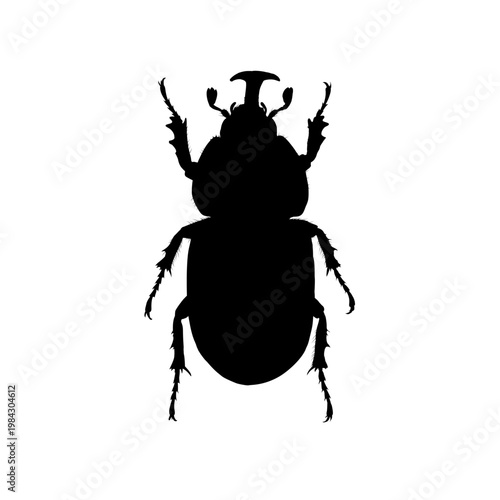 Scarab beetle silhouette, vector illustration