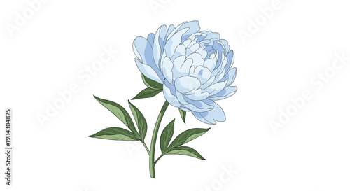 A delicate light blue chrysanthemum flower with lush green leaves, perfect for spring floral designs and nature backgrounds.