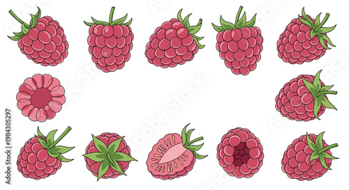 Fresh raspberries and strawberries illustration set featuring whole and sliced fruit for summer food and baking recipes.