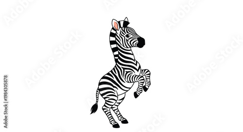 A beautiful black and white illustration of a zebra standing in profile showcasing its distinctive striped pattern and elegant equine form against a clean white background.